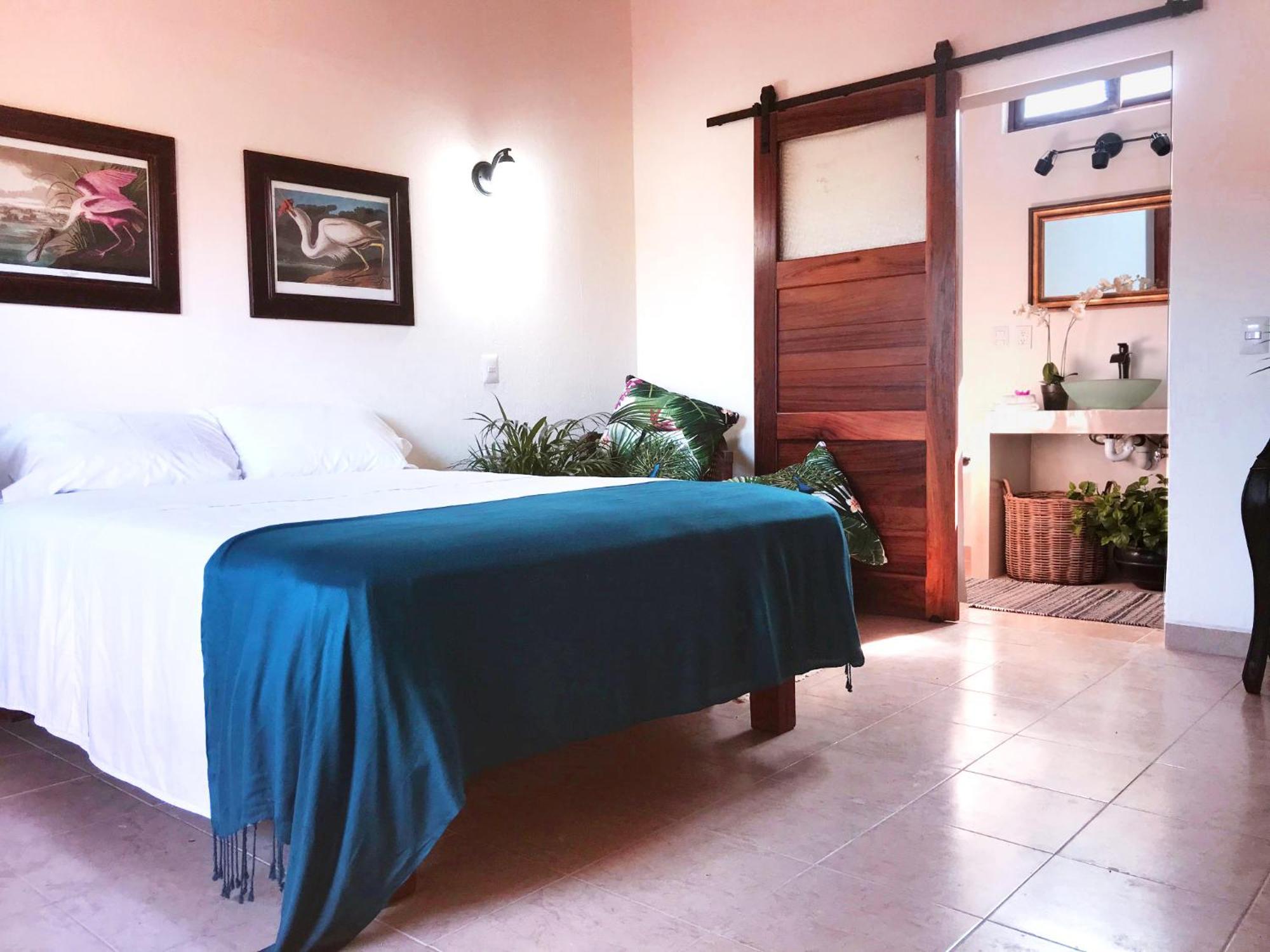 Casa Botanica Hotel Lo de Marcos Luaran gambar
