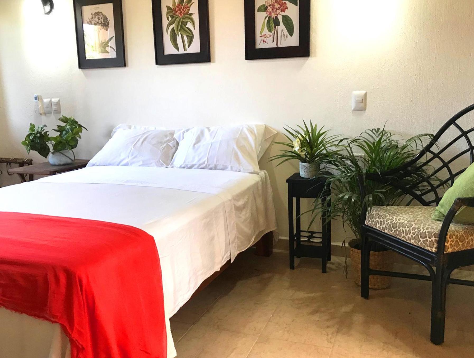 Casa Botanica Hotel Lo de Marcos Luaran gambar