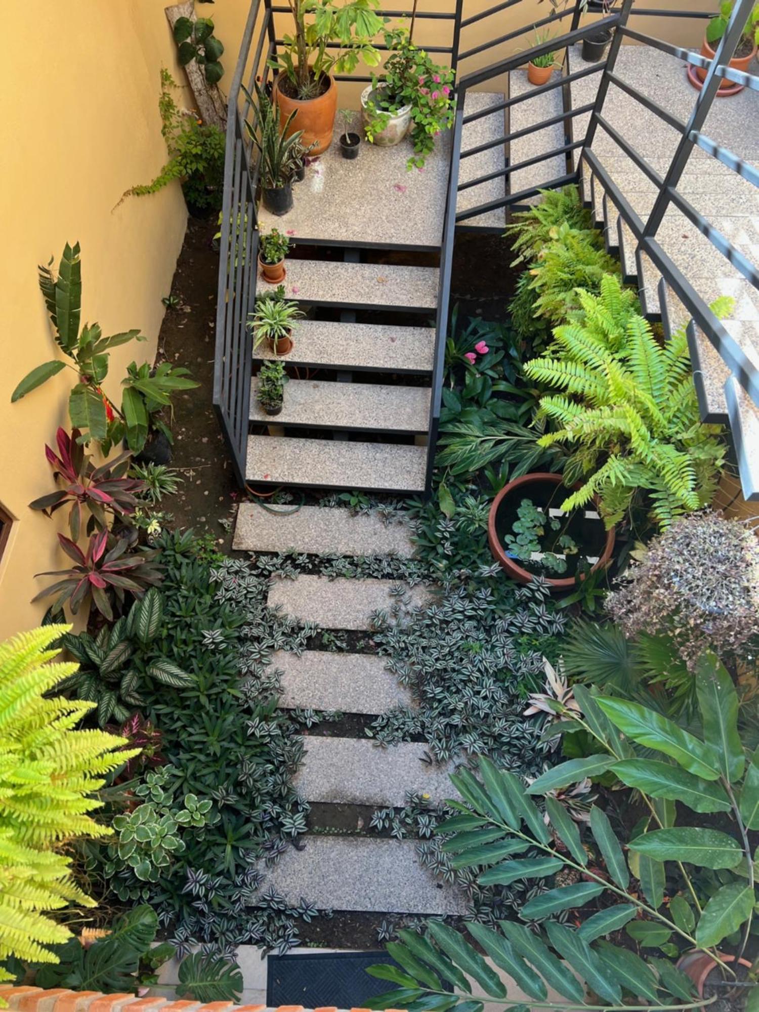 Casa Botanica Hotel Lo de Marcos Luaran gambar