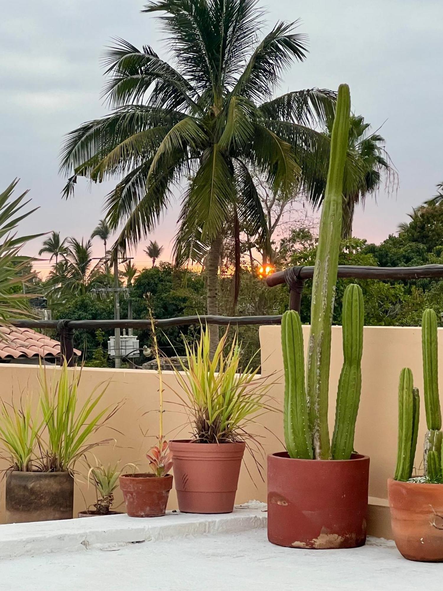 Casa Botanica Hotel Lo de Marcos Luaran gambar