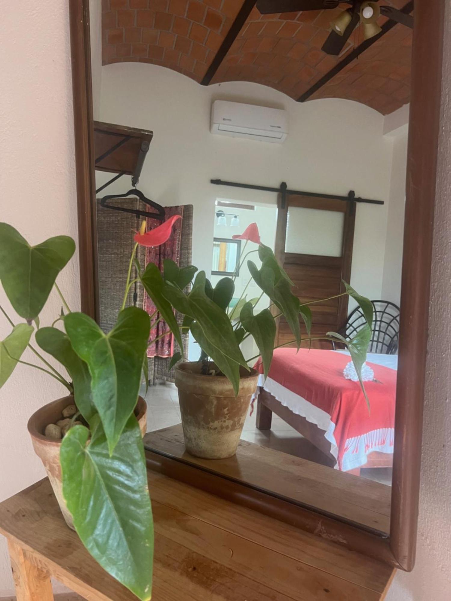 Casa Botanica Hotel Lo de Marcos Luaran gambar