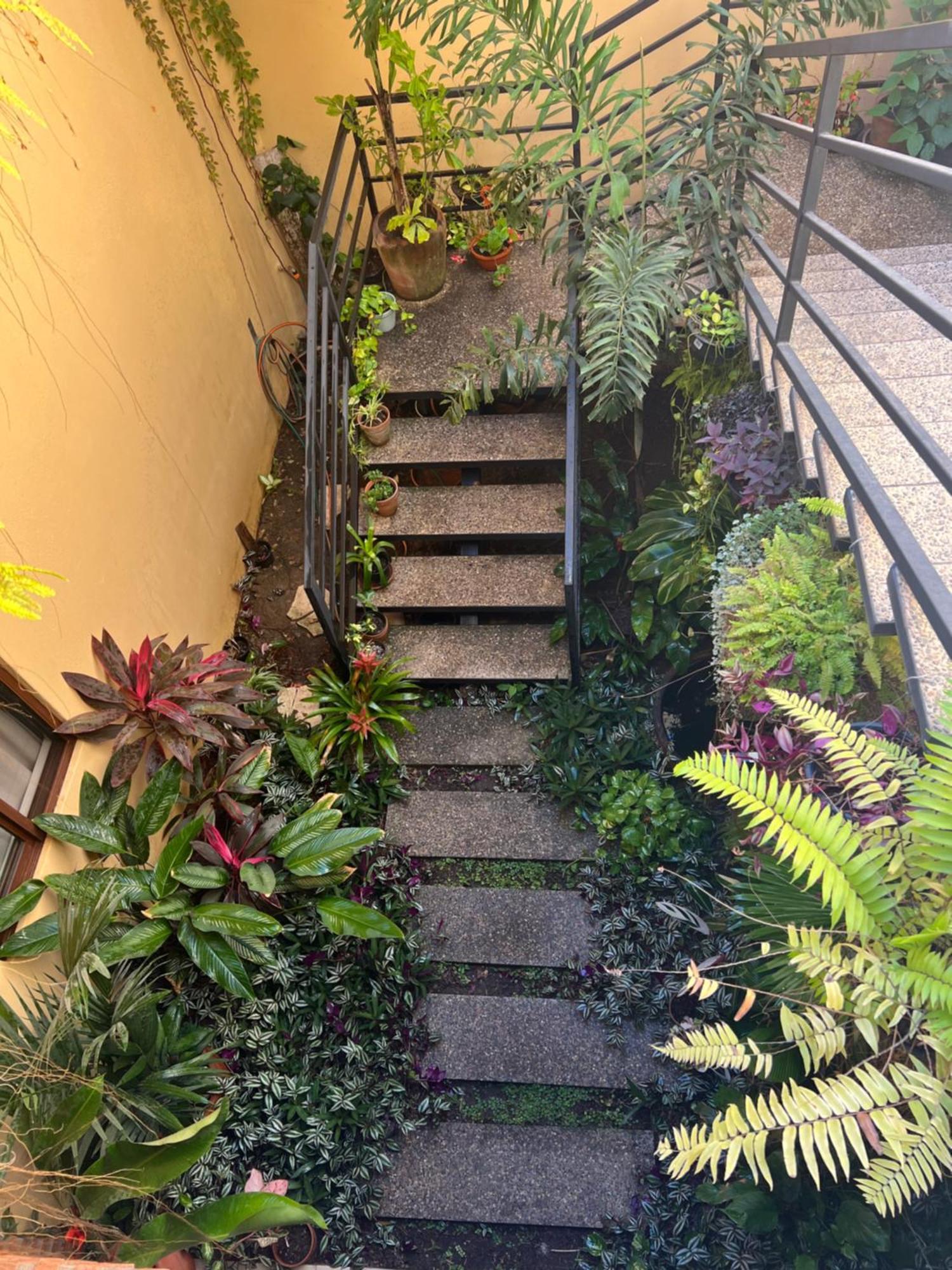 Casa Botanica Hotel Lo de Marcos Luaran gambar