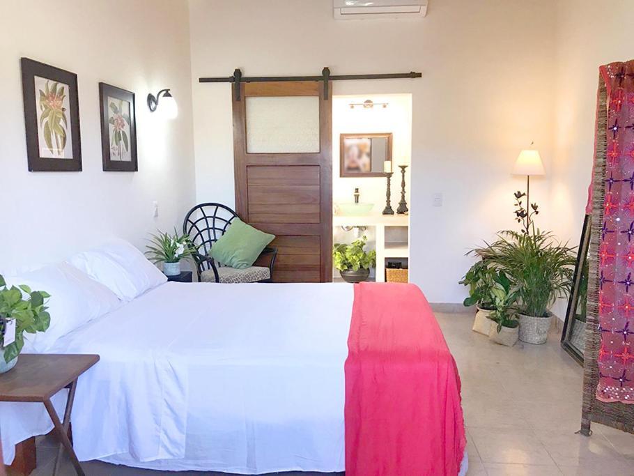 Casa Botanica Hotel Lo de Marcos Luaran gambar