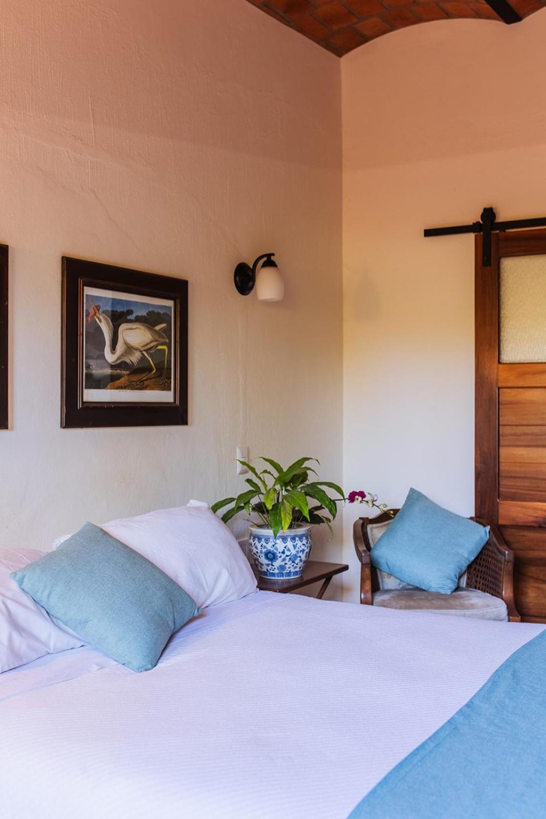 Casa Botanica Hotel Lo de Marcos Luaran gambar